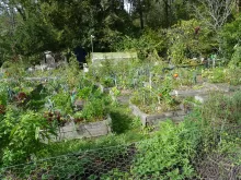 Jardin de Monsieur Lespinasse